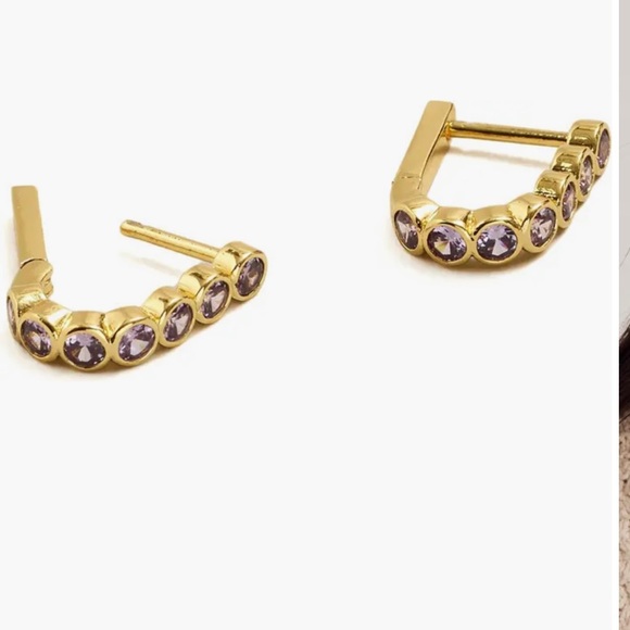Madewell Bezel Set Crystal Carabiner Hoop Earrings - Picture 1 of 3